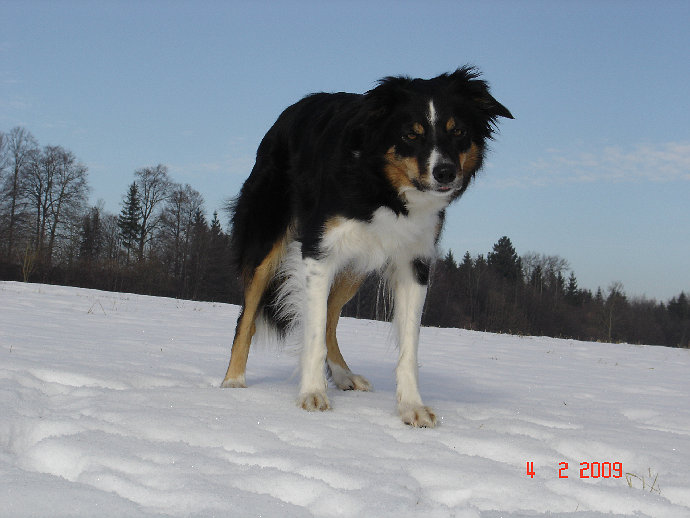 hom009001.jpg