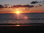 hom017004.jpg