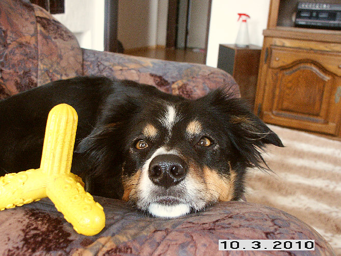hom020001.jpg