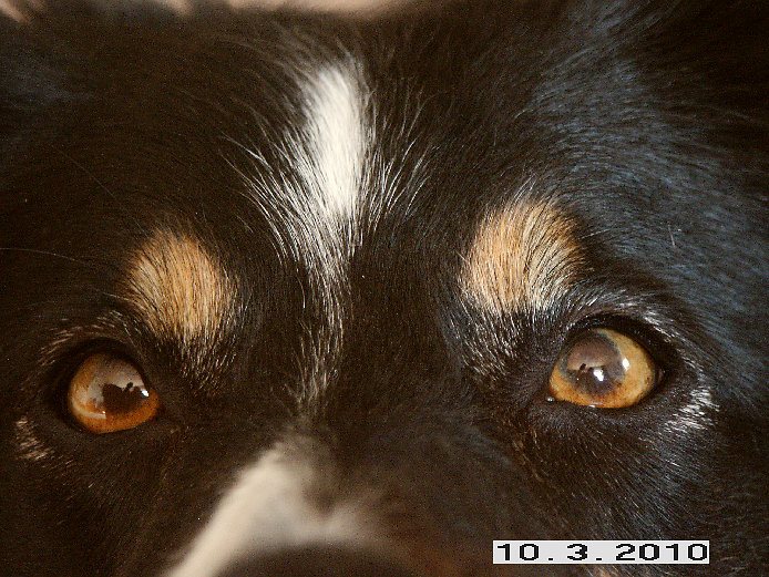 hom024001.jpg